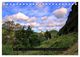 Thumbnail-4