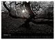 Thumbnail-12