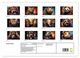 Thumbnail-4