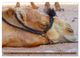 Thumbnail-12