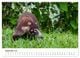 Thumbnail-10