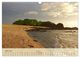 Thumbnail-8