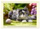 Thumbnail-9