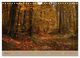 Thumbnail-12