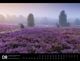 Thumbnail-10