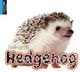 Thumbnail-0