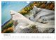 Thumbnail-12