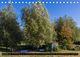 Thumbnail-11