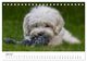 Thumbnail-11