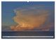 Thumbnail-12