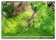 Thumbnail-9