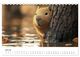 Thumbnail-12