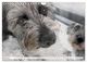 Thumbnail-11