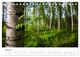 Thumbnail-9