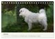 Thumbnail-11