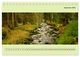 Thumbnail-14