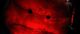 Thumbnail-11