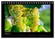 Thumbnail-13