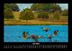 Thumbnail-11