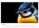 Thumbnail-7