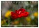 Thumbnail-9