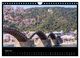 Thumbnail-9