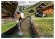 Thumbnail-12