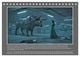 Thumbnail-14