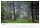 Thumbnail-9