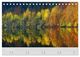 Thumbnail-12