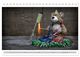 Thumbnail-14