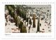 Thumbnail-13