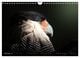 Thumbnail-11