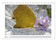 Thumbnail-10
