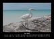 Thumbnail-10