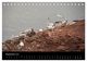 Thumbnail-11