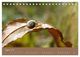 Thumbnail-13