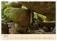 Thumbnail-12