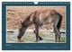 Thumbnail-12