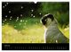 Thumbnail-9