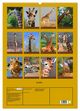 Thumbnail-8