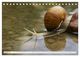 Thumbnail-13
