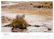 Thumbnail-9