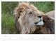 Thumbnail-9