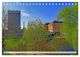 Thumbnail-9