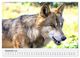 Thumbnail-14