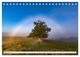 Thumbnail-11