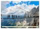 Thumbnail-8