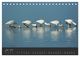 Thumbnail-12