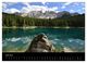 Thumbnail-11